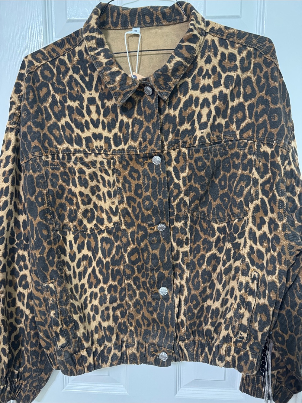 Leopard Print Button-Front Jacket - Brown & Black